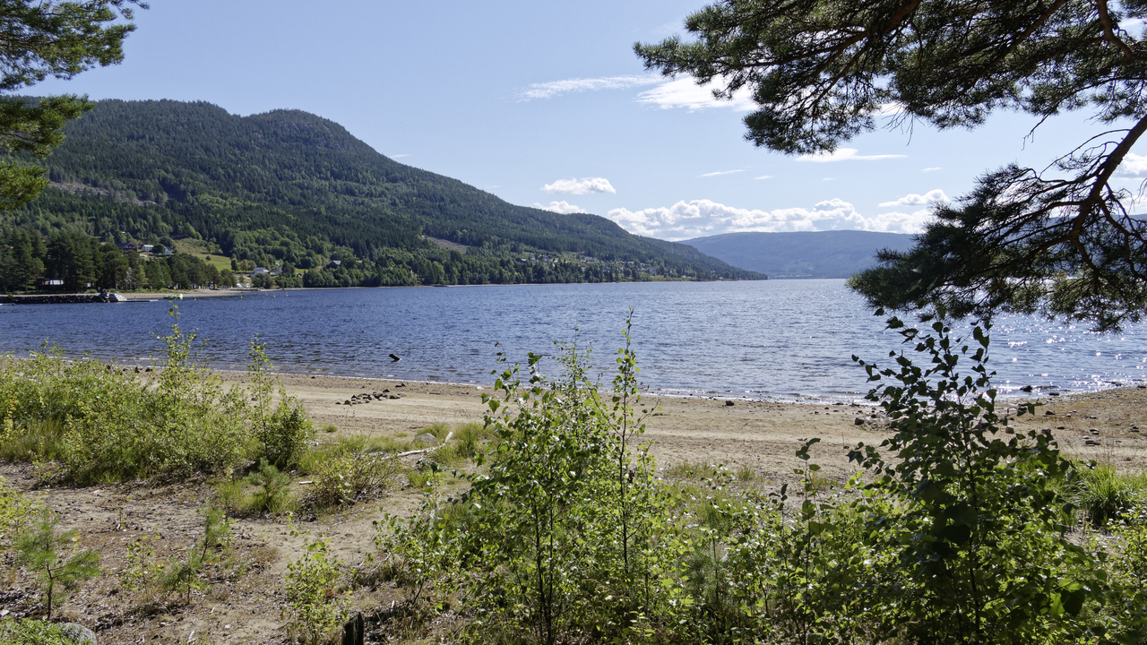 20260817 142255•Tree-Tops•Fyresdal•Telemark•Norway (Alt 327 m )